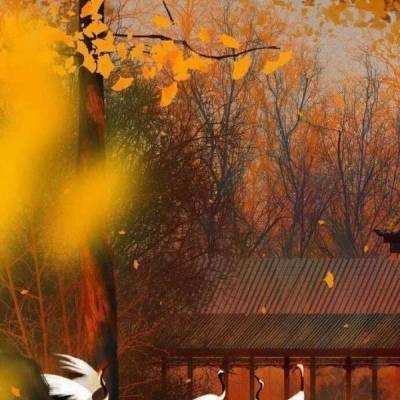 神龙炫斗满v版下载
